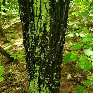 Meet your Posher, Kaitlyn